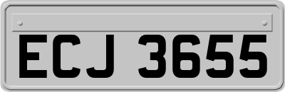 ECJ3655