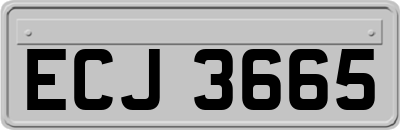 ECJ3665