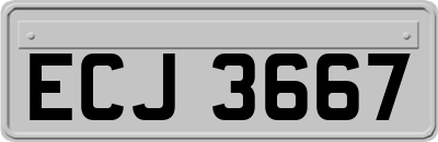 ECJ3667