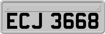 ECJ3668