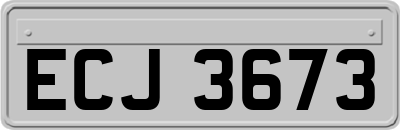 ECJ3673