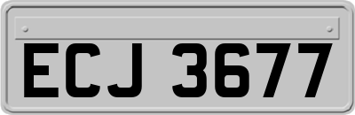 ECJ3677