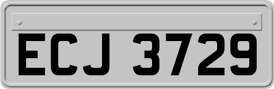 ECJ3729
