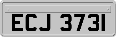 ECJ3731