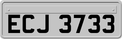 ECJ3733