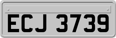 ECJ3739