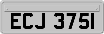 ECJ3751