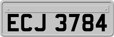 ECJ3784
