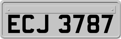 ECJ3787