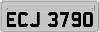 ECJ3790
