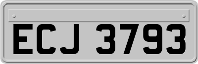 ECJ3793