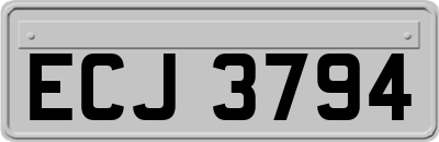 ECJ3794