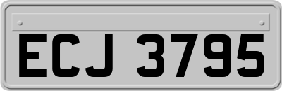 ECJ3795
