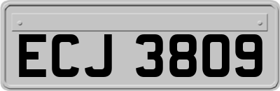 ECJ3809