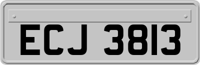 ECJ3813
