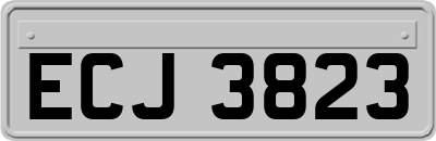 ECJ3823