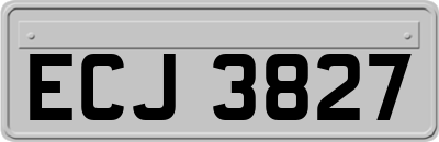 ECJ3827