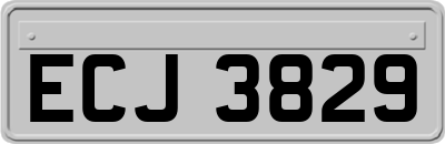 ECJ3829