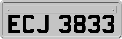 ECJ3833