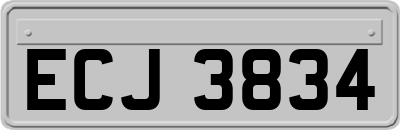 ECJ3834