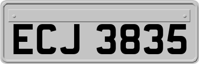 ECJ3835