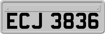 ECJ3836