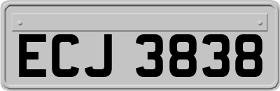 ECJ3838