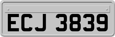 ECJ3839
