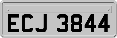 ECJ3844