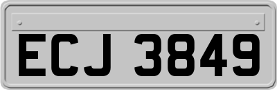 ECJ3849