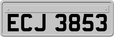 ECJ3853