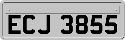 ECJ3855
