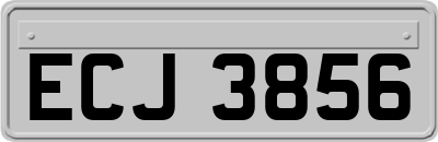 ECJ3856