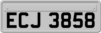 ECJ3858