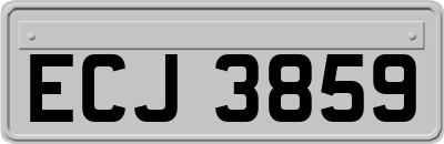 ECJ3859