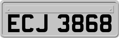 ECJ3868