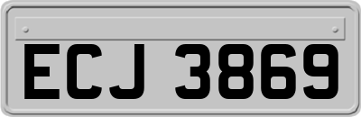 ECJ3869