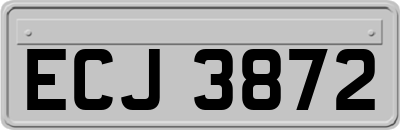 ECJ3872