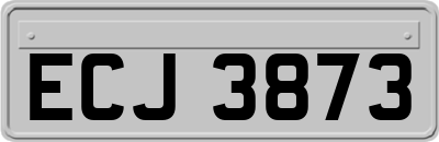 ECJ3873