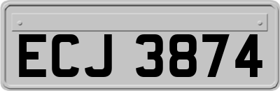 ECJ3874