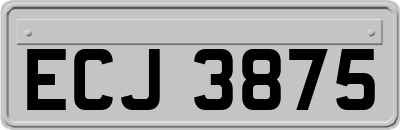 ECJ3875