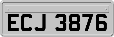 ECJ3876