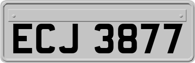 ECJ3877