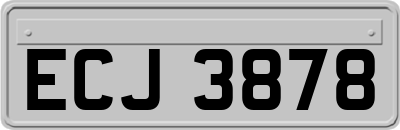 ECJ3878