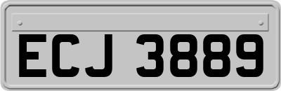 ECJ3889