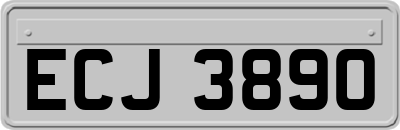 ECJ3890