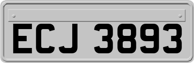 ECJ3893