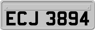 ECJ3894