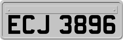 ECJ3896