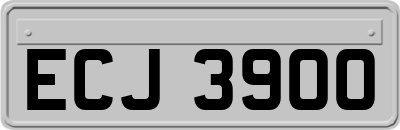 ECJ3900